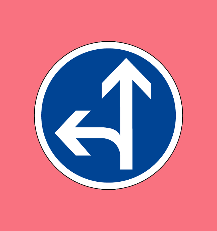 Directions obligatoires à la prochaine intersection : tout droit ou à gauche - B21d2