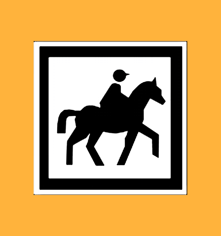 Centre équestre, promenade, ranch, poney-club - ID20b