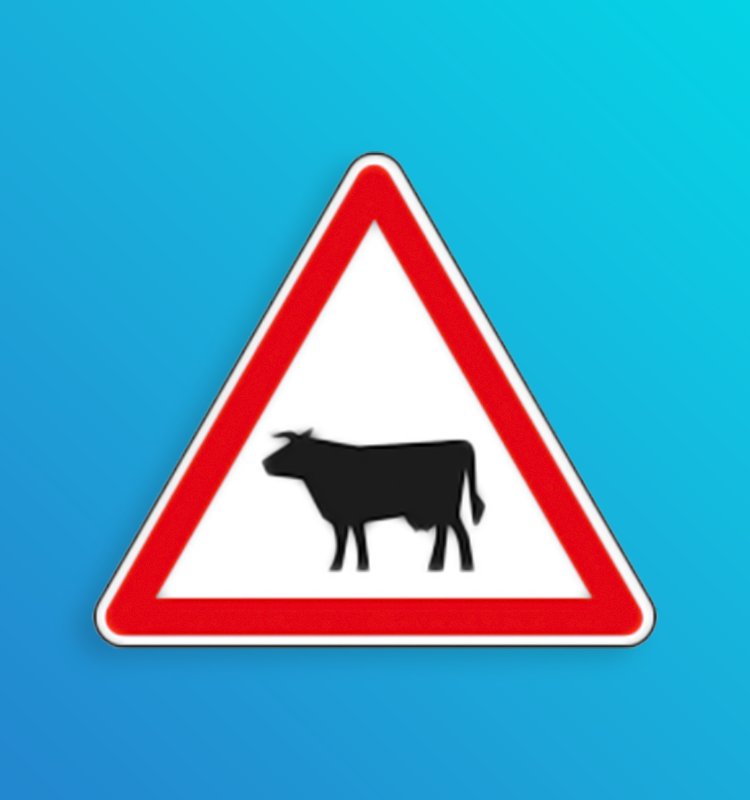 Passage d'animaux domestiques - A15a1